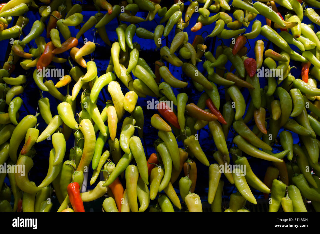 Single shot peperoncini appesi su una stringa da un frutto tradizionale e mercato veg Foto Stock