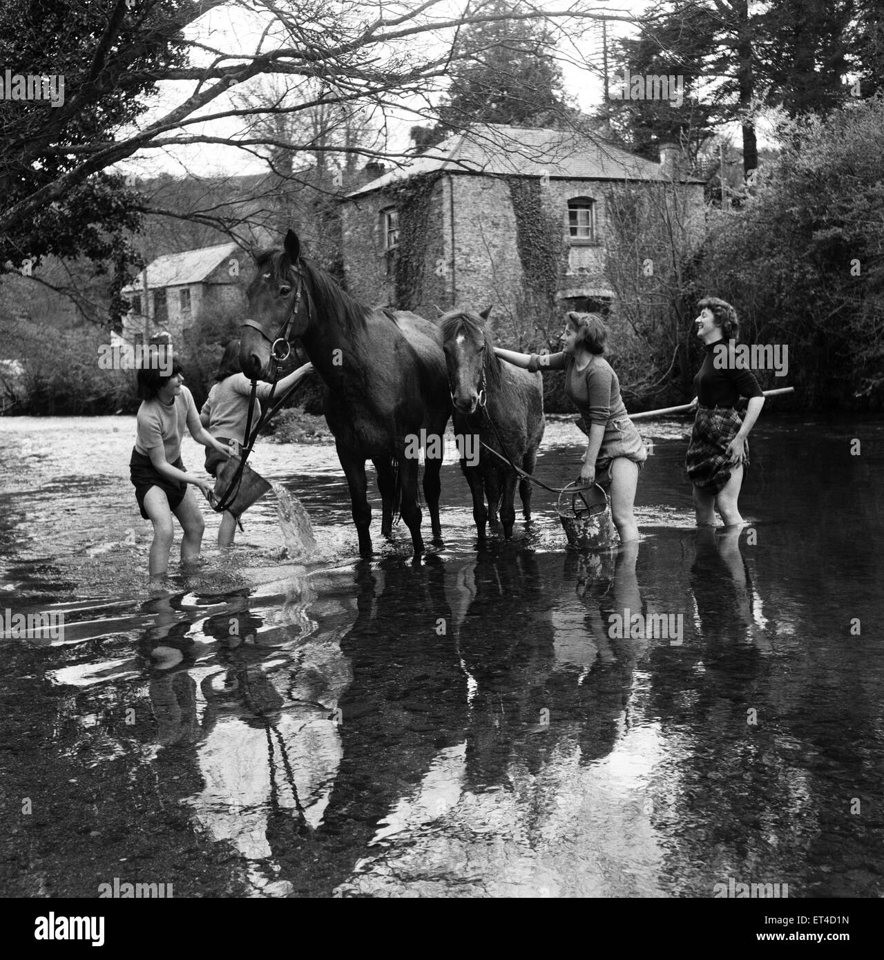 Le ragazze il lavaggio cavalli a Notter Farm, Cornwall. Il 28 aprile 1952. Foto Stock