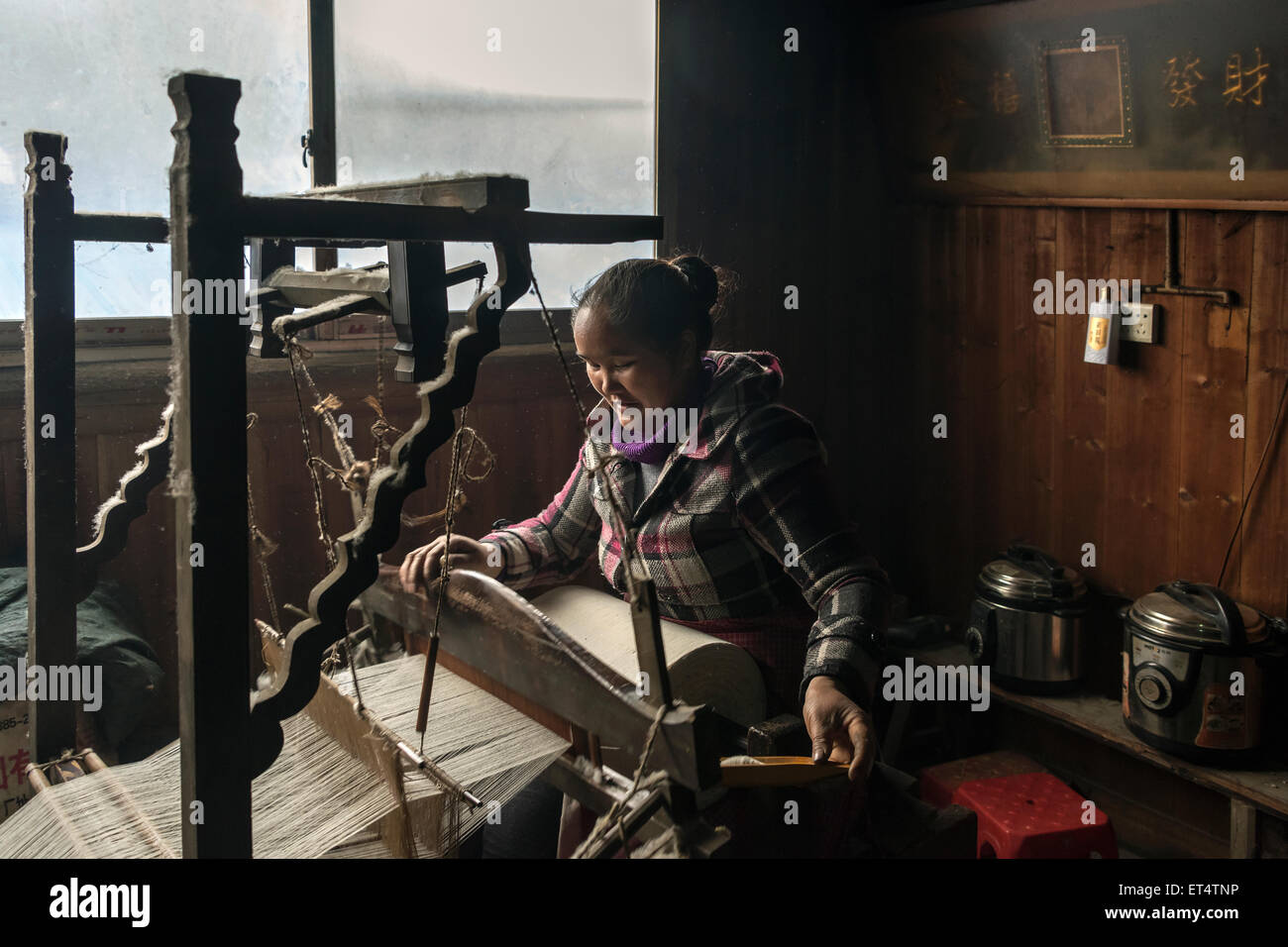Basha Miao donna tessitura cotone greggi per rendere abbigliamento tradizionale #1, Basha Gun Village, Guizhou, Cina Foto Stock Basha Miao donna tessitura cotone greggi per rendere abbigliamento tradizionale #1, Basha Gun Village, Guizhou, Cina Foto Stock