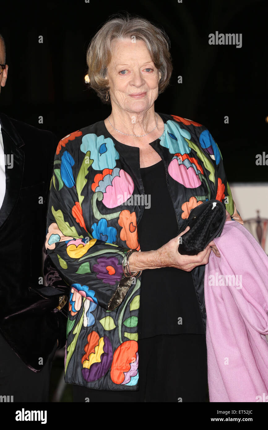 Il sole premi militare (Millies) 2014 - Arrivi con: Dame Maggie Smith Dove: Londra quando: 10 Dic 2014 Credit: Lia Toby/WENN.com Foto Stock