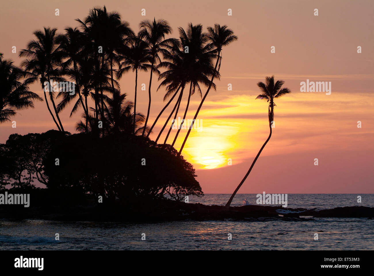 Iconico Hawaii tramonto immagine con palme e sun palla in Sud Kohala Hawaii Foto Stock