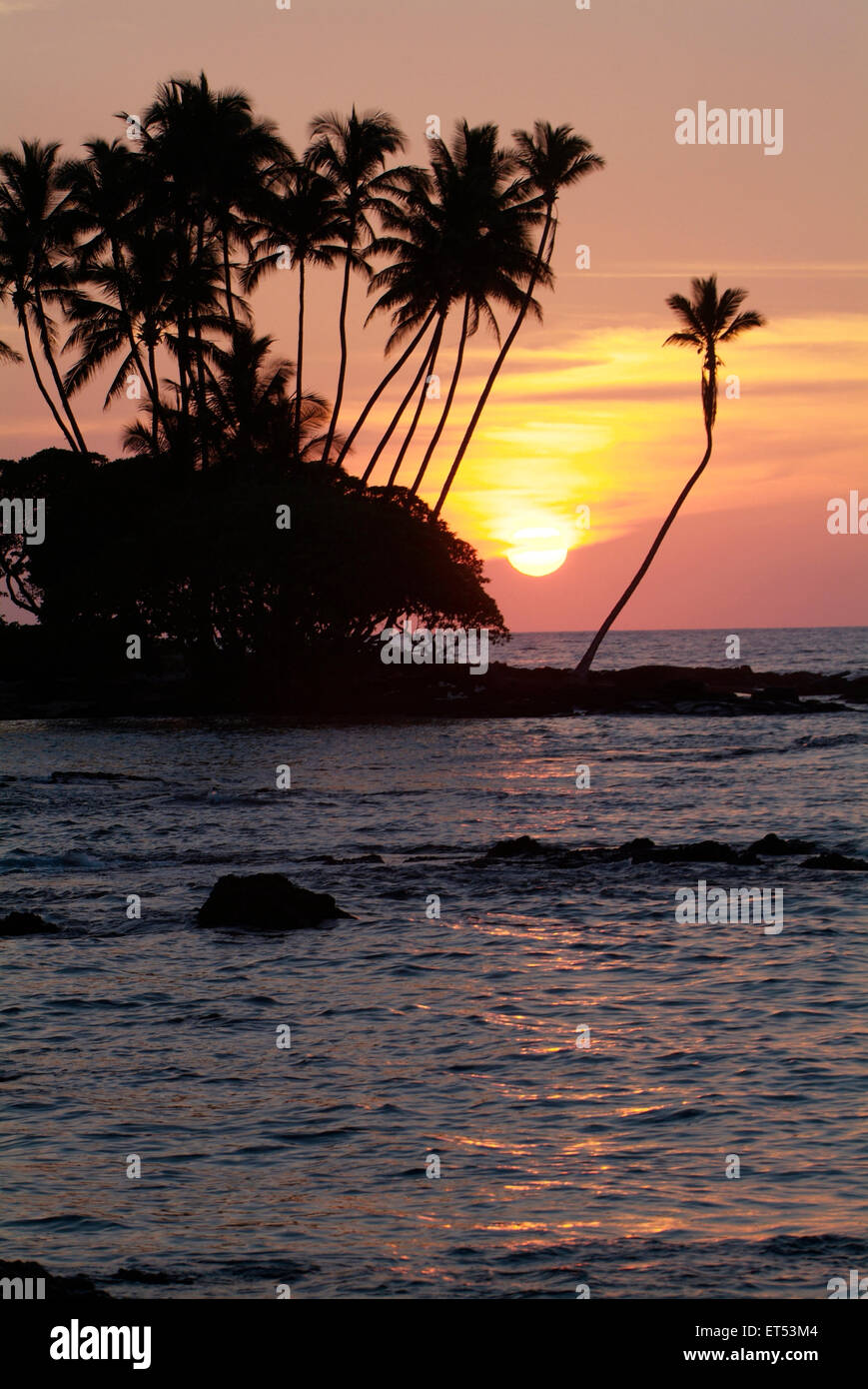 Iconico Hawaii tramonto immagine con palme e sun palla in Sud Kohala Hawaii Foto Stock