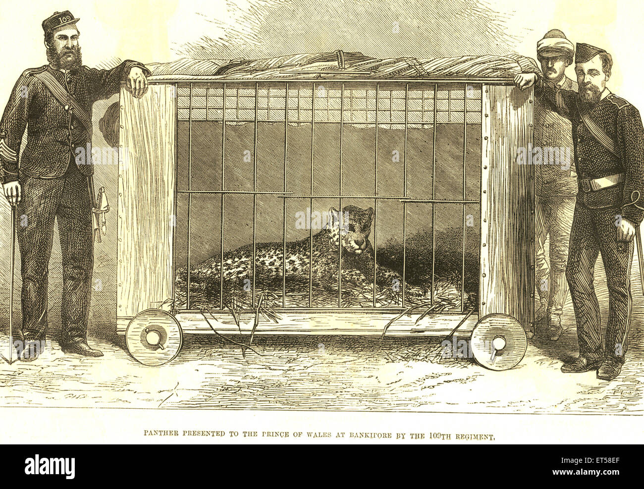 Caccia & viste animale ; panther presentato il Principe di Galles a Bankipore 109° reggimento ; XXV marzo 1876 ; Bankipur ; Bihar Foto Stock