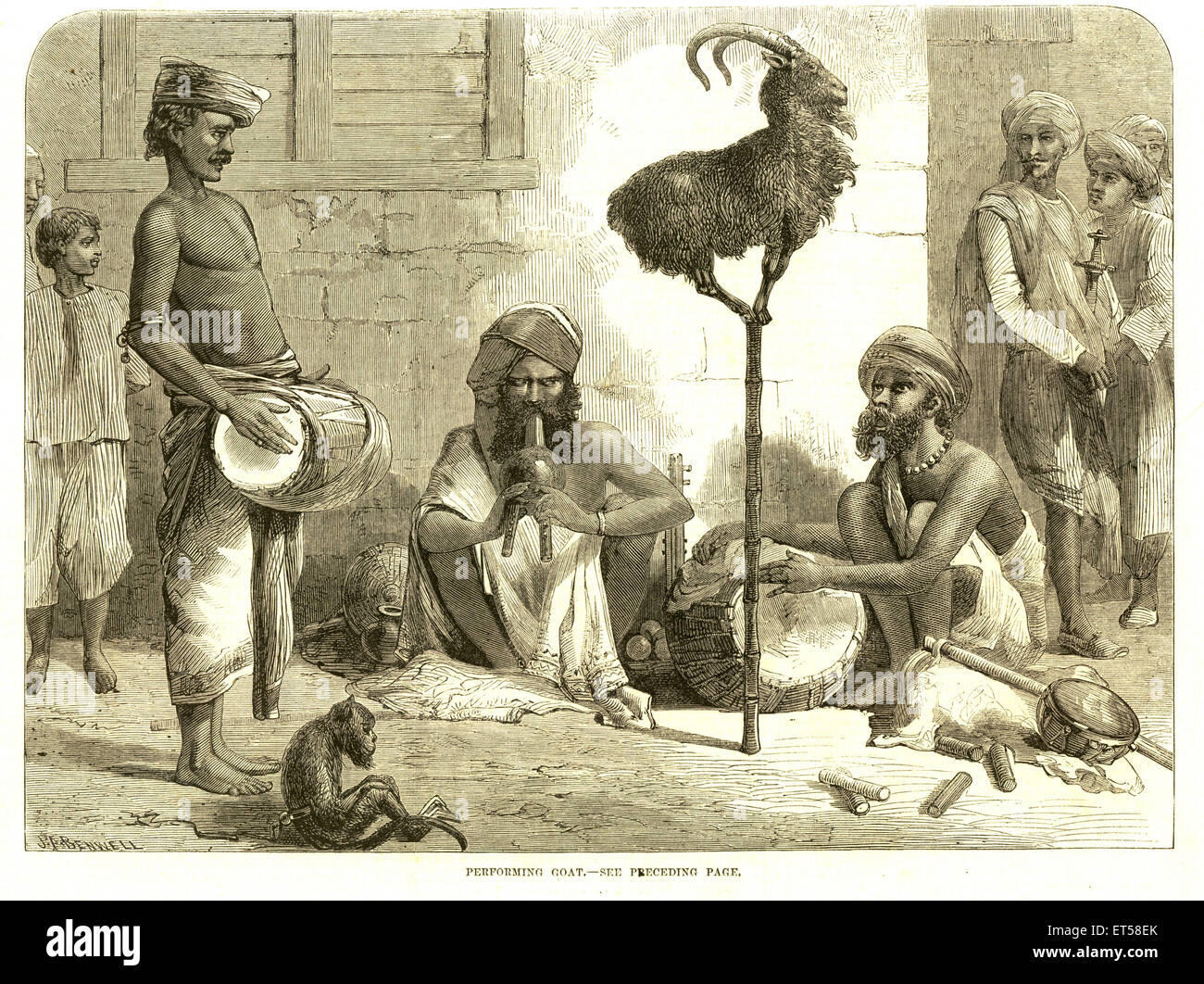 Caccia & viste animale ; esecuzione di caprino ; India Foto Stock