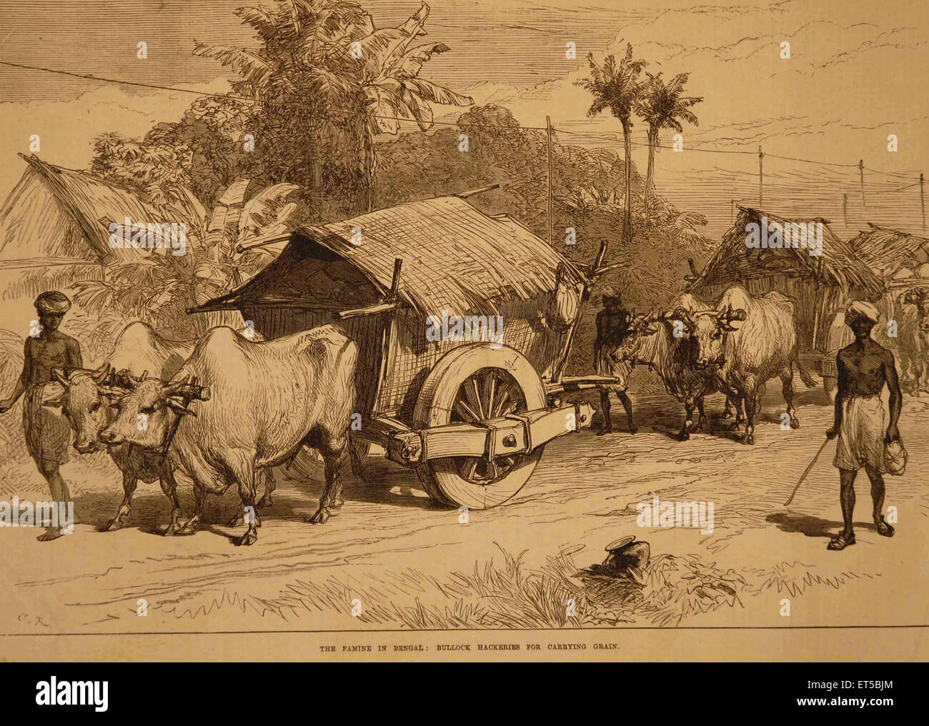 Litografie carestia nel Bengala hackeries giovenco per il trasporto di cereali ; Bengala Occidentale ; India Foto Stock