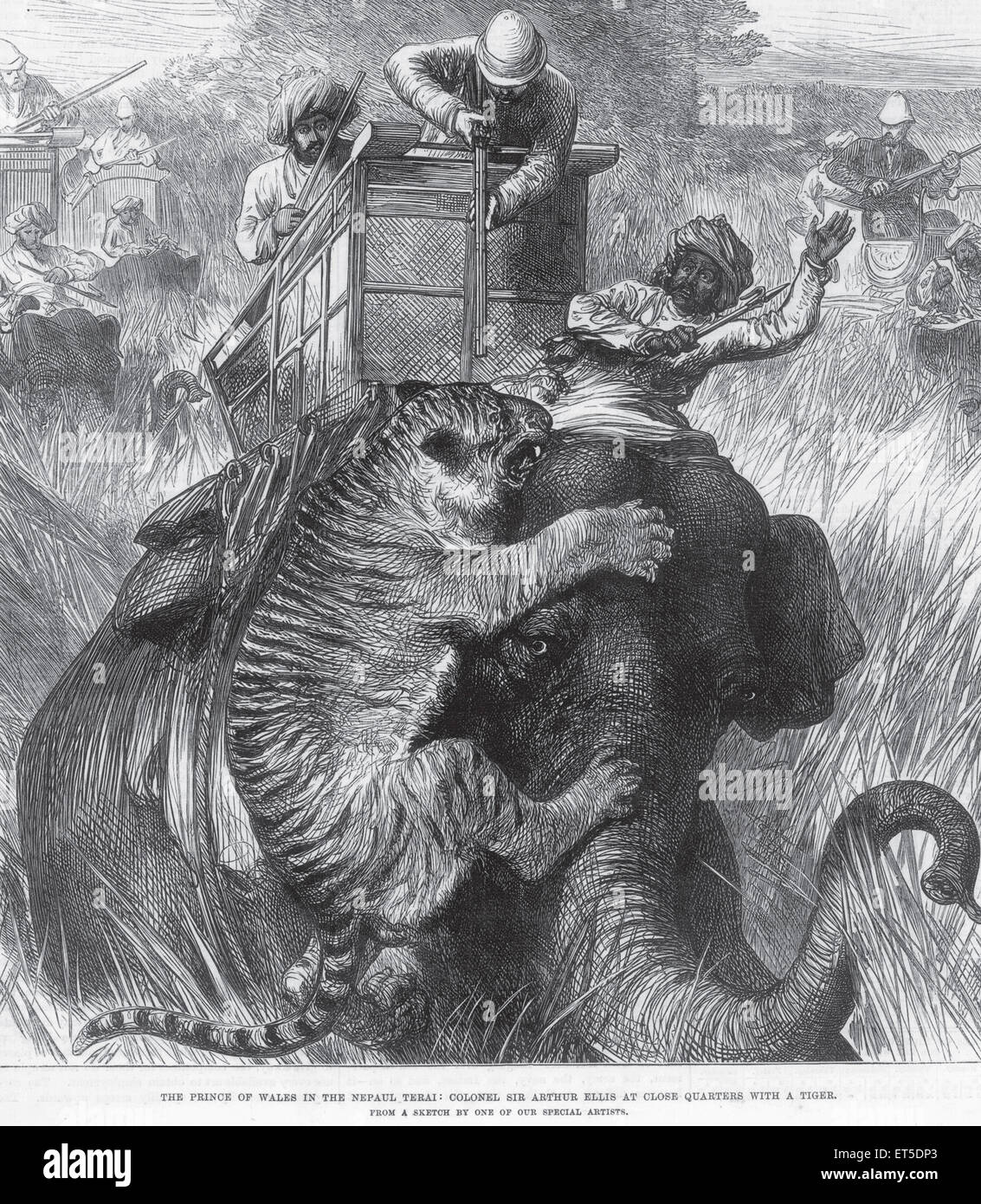 Tiger hunt dal Principe di Galles e il Colonnello Sir Arthur Ellis in Nepal Foto Stock