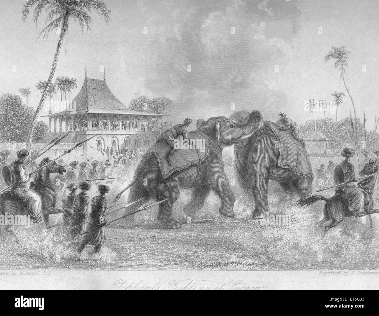 Combattimenti degli elefanti, India, Asia, asiatico, indiano, incisione in acciaio del 1800 d'epoca Foto Stock