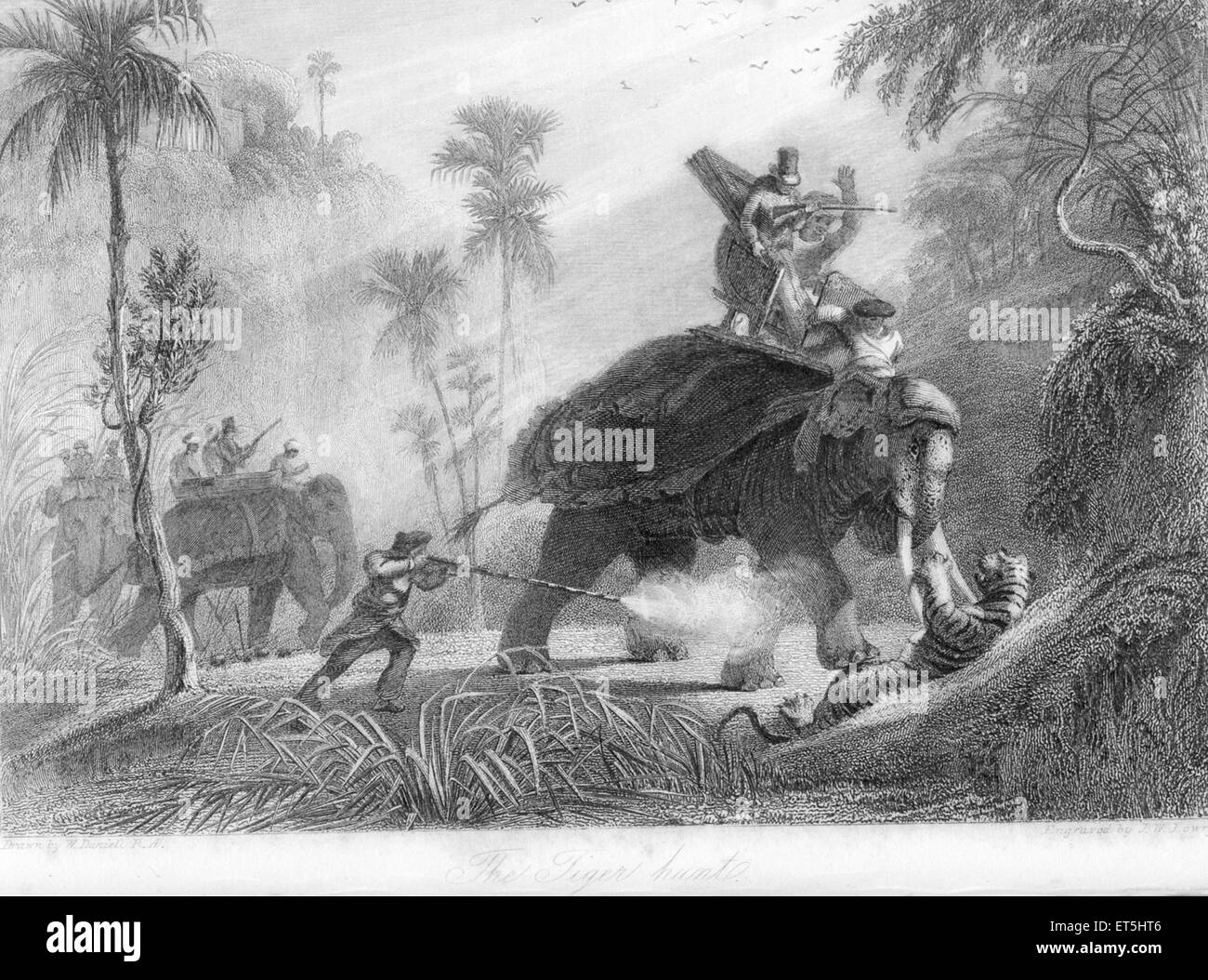 Caccia alle tigri ; India, Asia, Asia, indiano, incisione in acciaio del 1800 d'epoca Foto Stock