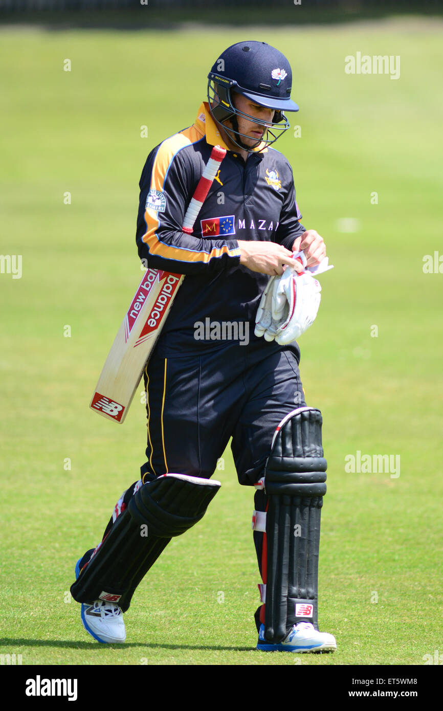 Australian cricketer Aaron finch la riproduzione per i vichinghi dello Yorkshire. Immagine: Scott Bairstow/Alamy Foto Stock
