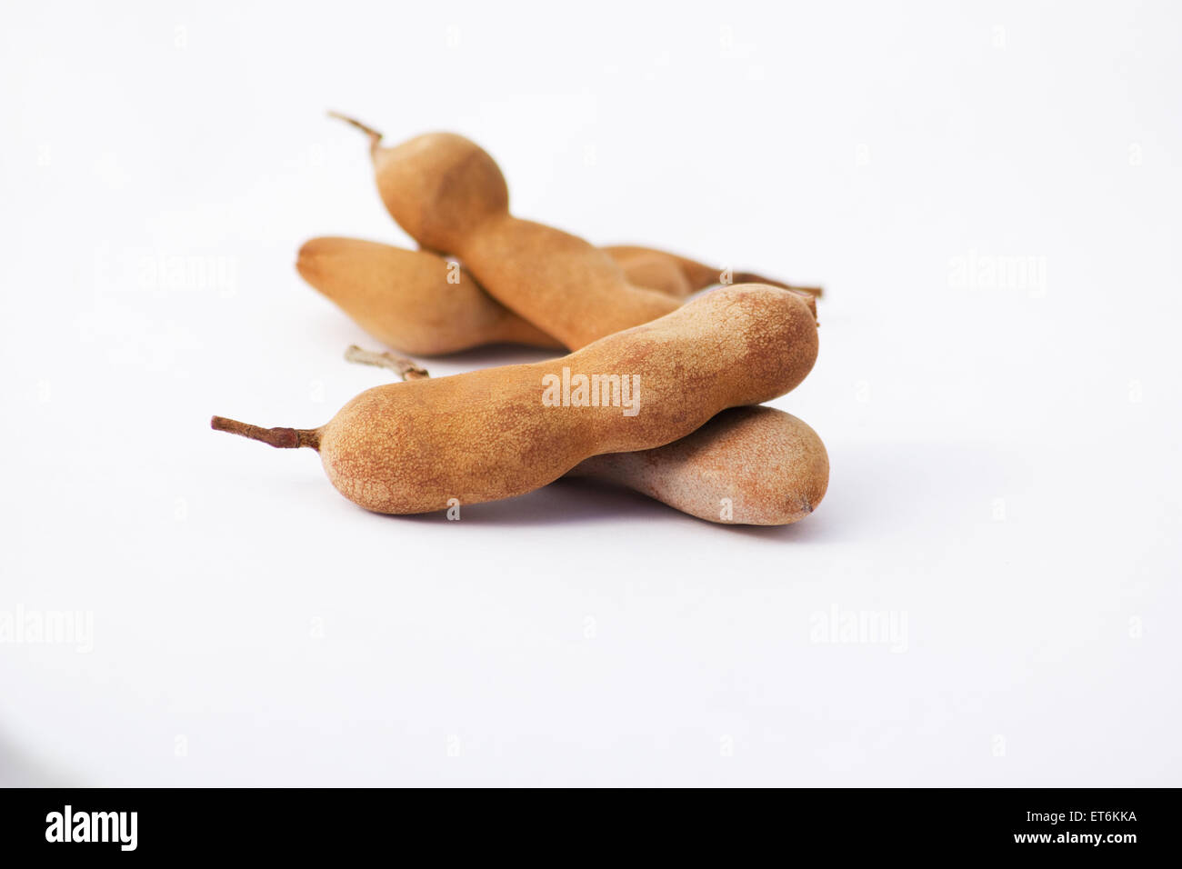 (Tamarindo Tamarindus indica) Frutta su sfondo bianco Foto Stock
