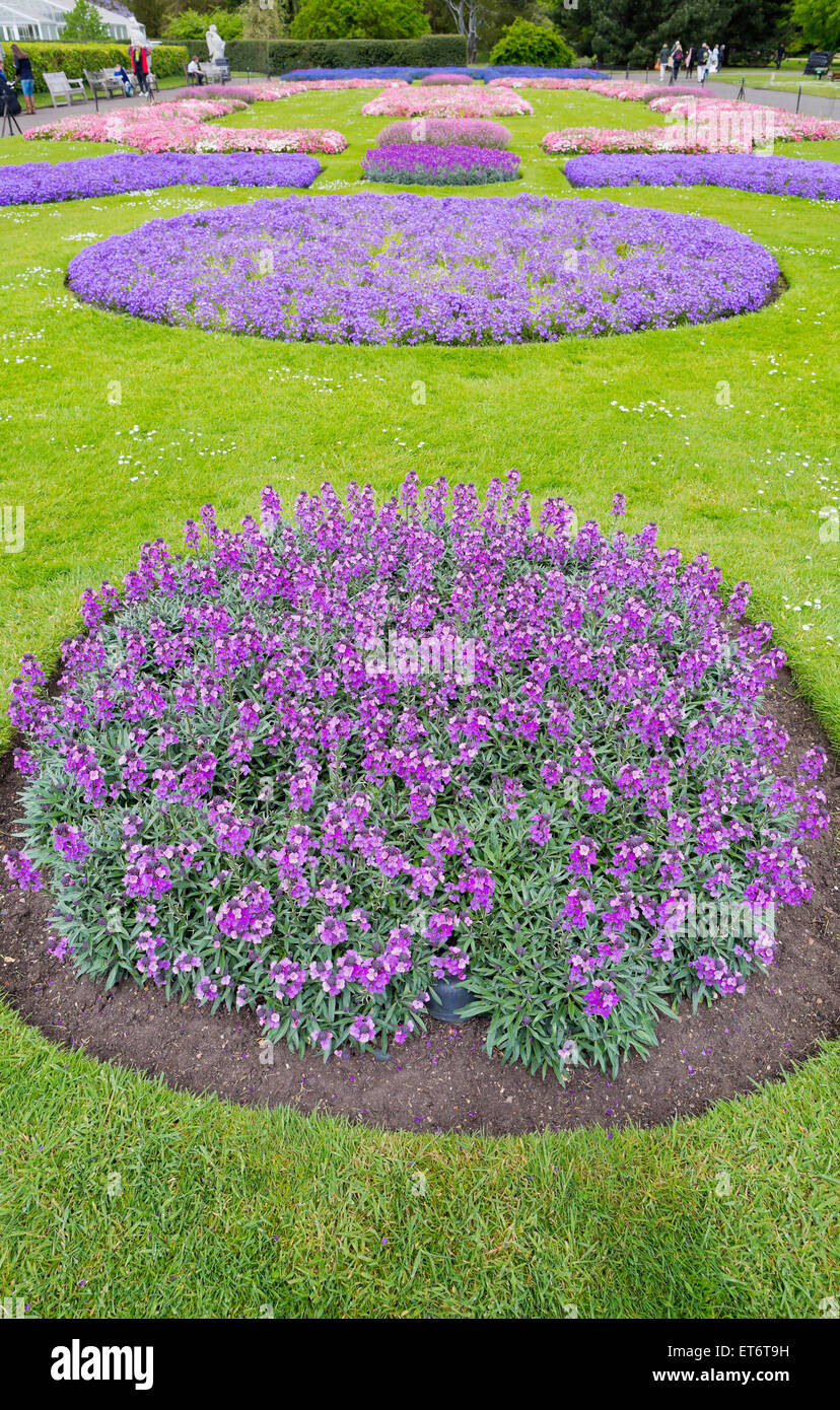Kew Royal Botanical Gardens, ornamentali di biancheria da letto di fiori nella parte anteriore del Palm house - Londra, Regno Unito, Europa Foto Stock