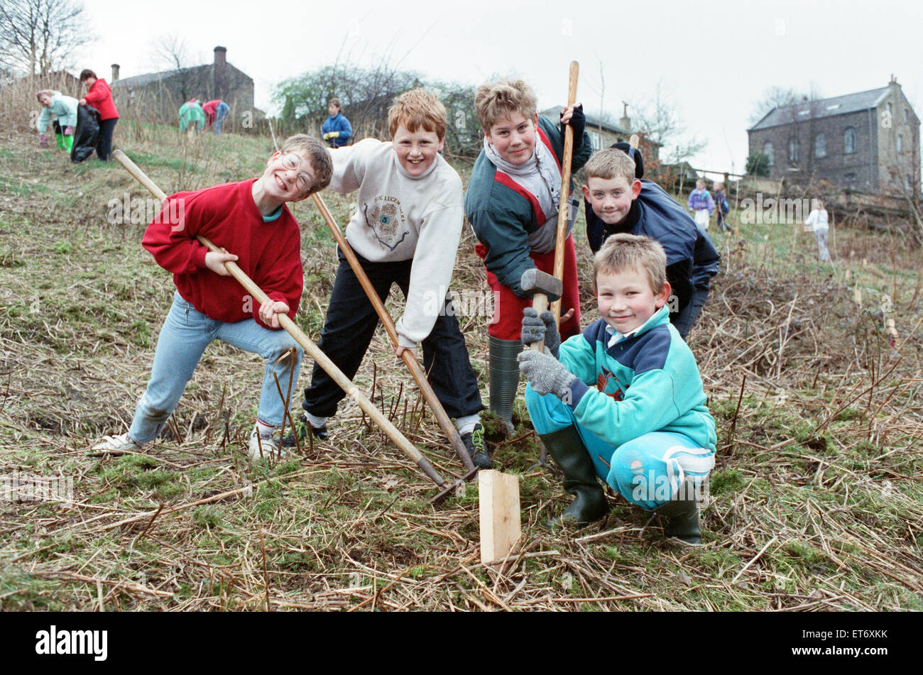 Arrivare alla radice del problema... sono, da sinistra, 11 anni: Steven Baines, Craig Walton, Daniel Bray, Andrew Wilson e William Beaumont. I bambini da Netherthong junior e bambini scuola sono tirando fuori il sottobosco di sviluppare un sentiero natura attorno alla scuola. I dodici mesi del progetto è stato dato un impulso finanziario di ¿50 dal Holme Valley consiglio parrocchiale e sarà eventualmente andare avanti ad un premio nazionale per commemorare il quarantesimo anniversario della regina della incoronazione. Il 27 marzo 1991. Foto Stock