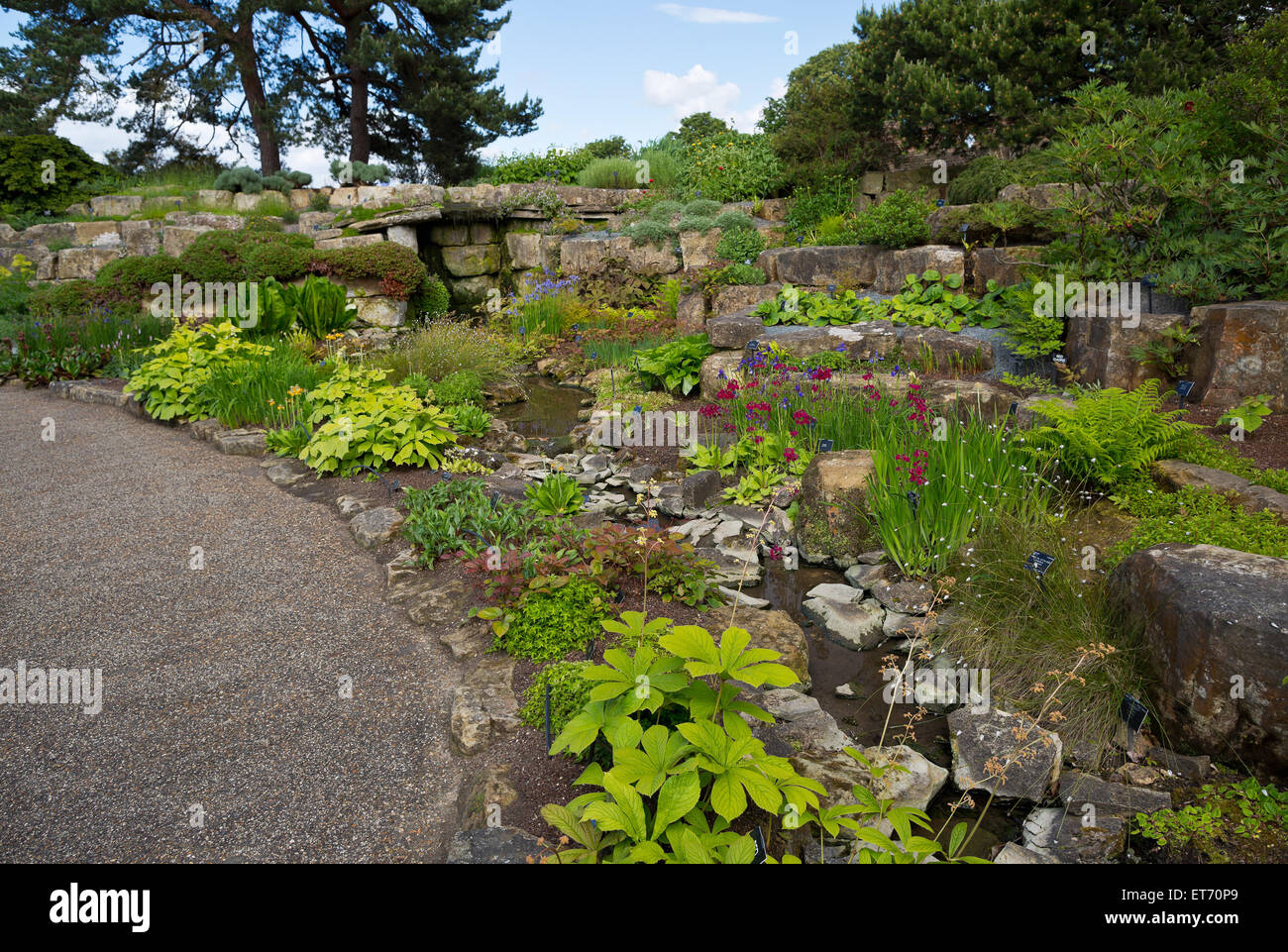 Kew Royal Botanical Gardens, Rock Garden - Londra, Regno Unito, Europa Foto Stock