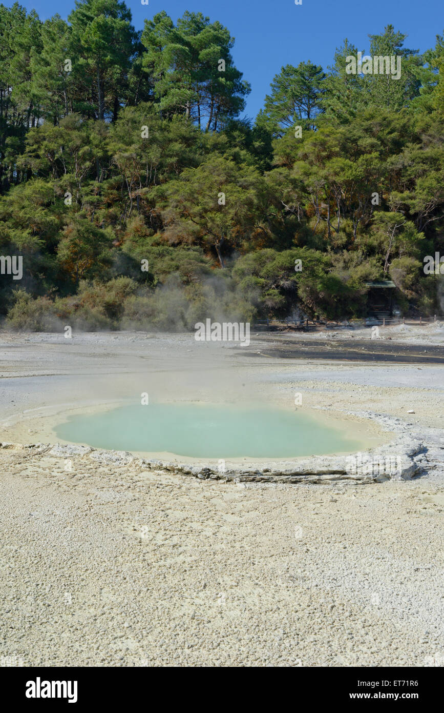 Waiotapu area termale, a Rotorua, Nuova Zelanda Foto Stock