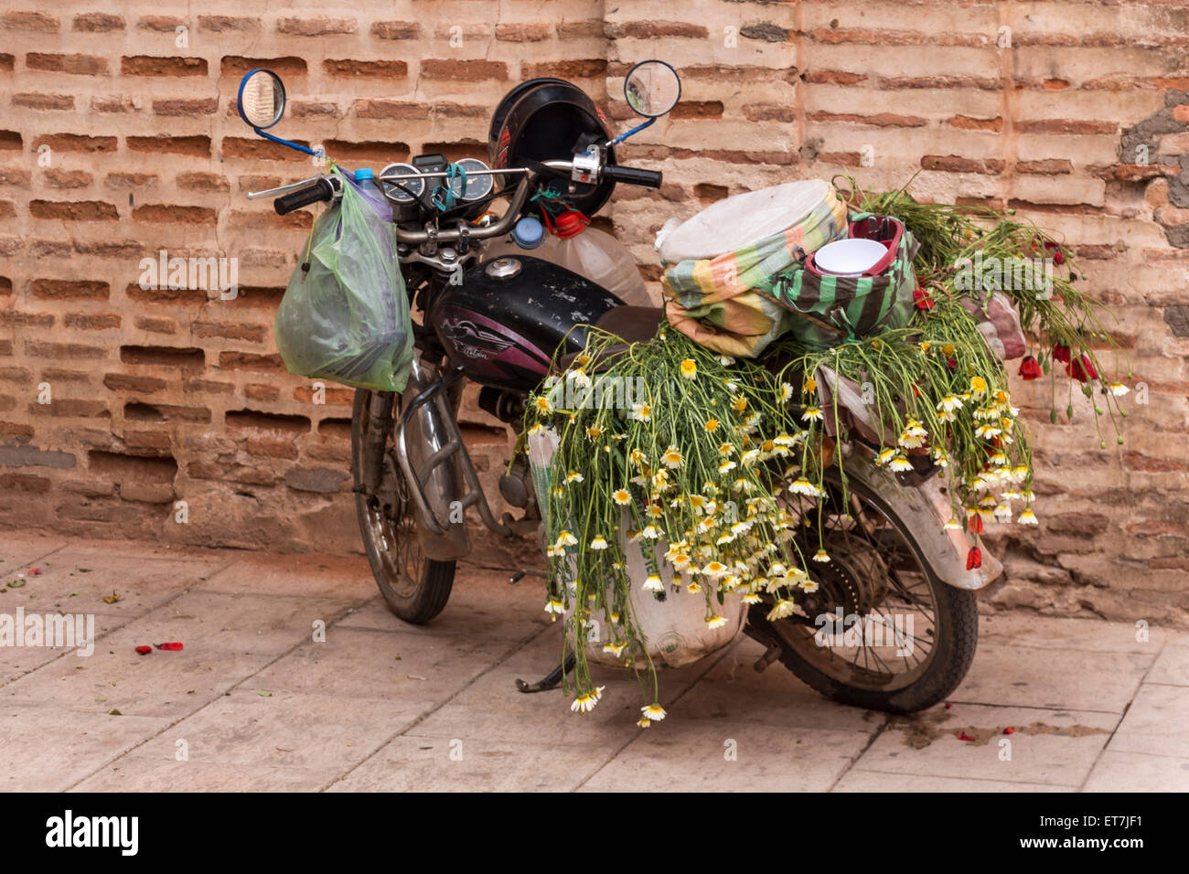 Il Marocco, Marrakech, ciclomotore parcheggiato caricate con sacchetti e fiori Foto Stock