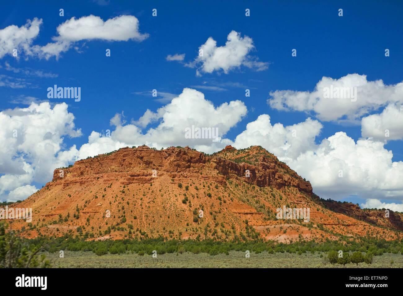 Rote Gesteinsformationen mit Haufenwolken, USA, Arizona | red rock formazione e cumuli di nuvole, STATI UNITI D'AMERICA, Arizona Foto Stock