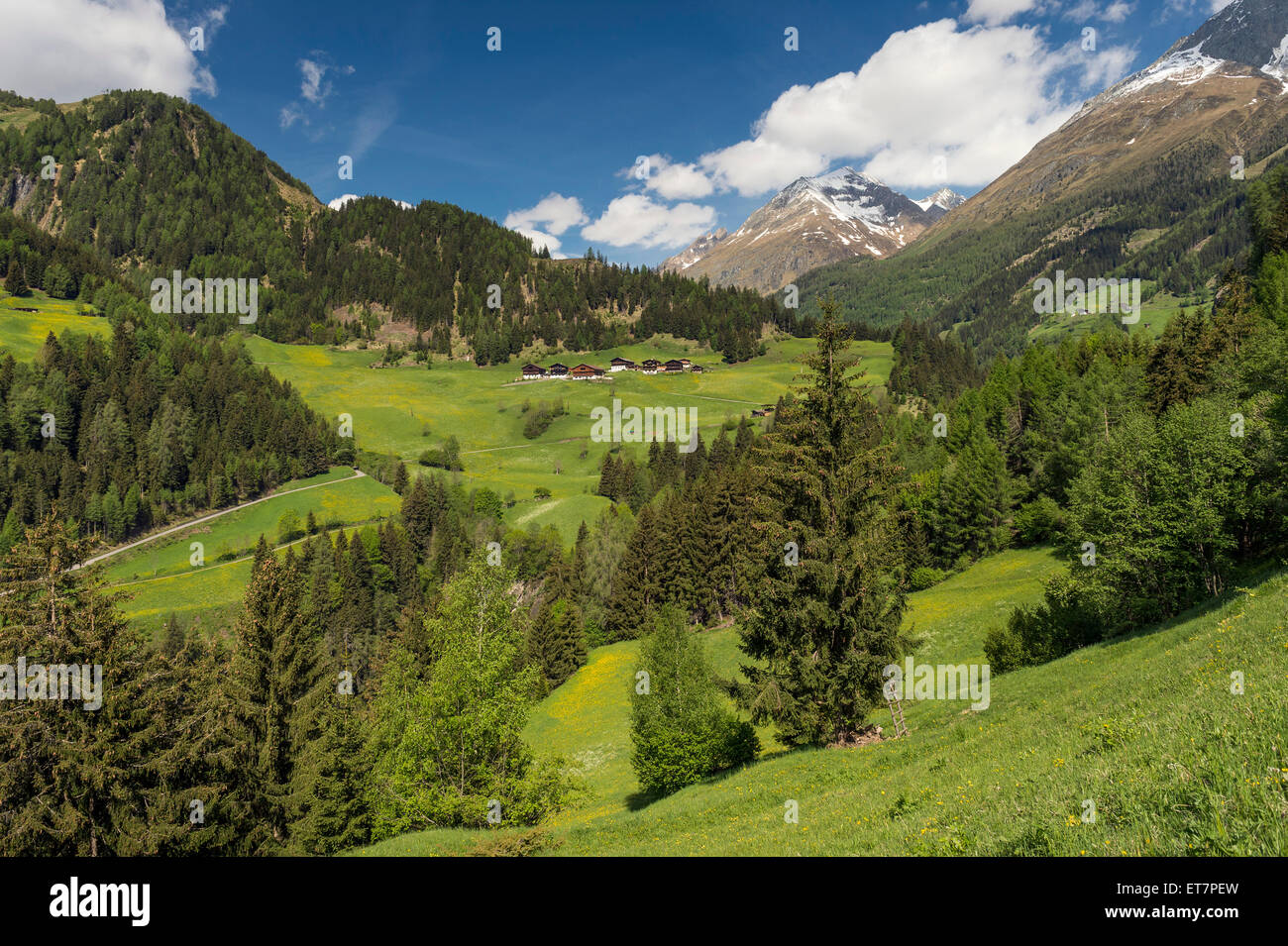 Paesaggio di montagna con case coloniche, vicino a Prägraten am Großvenediger, Virgental valle, Tirolo orientale, Austria Foto Stock