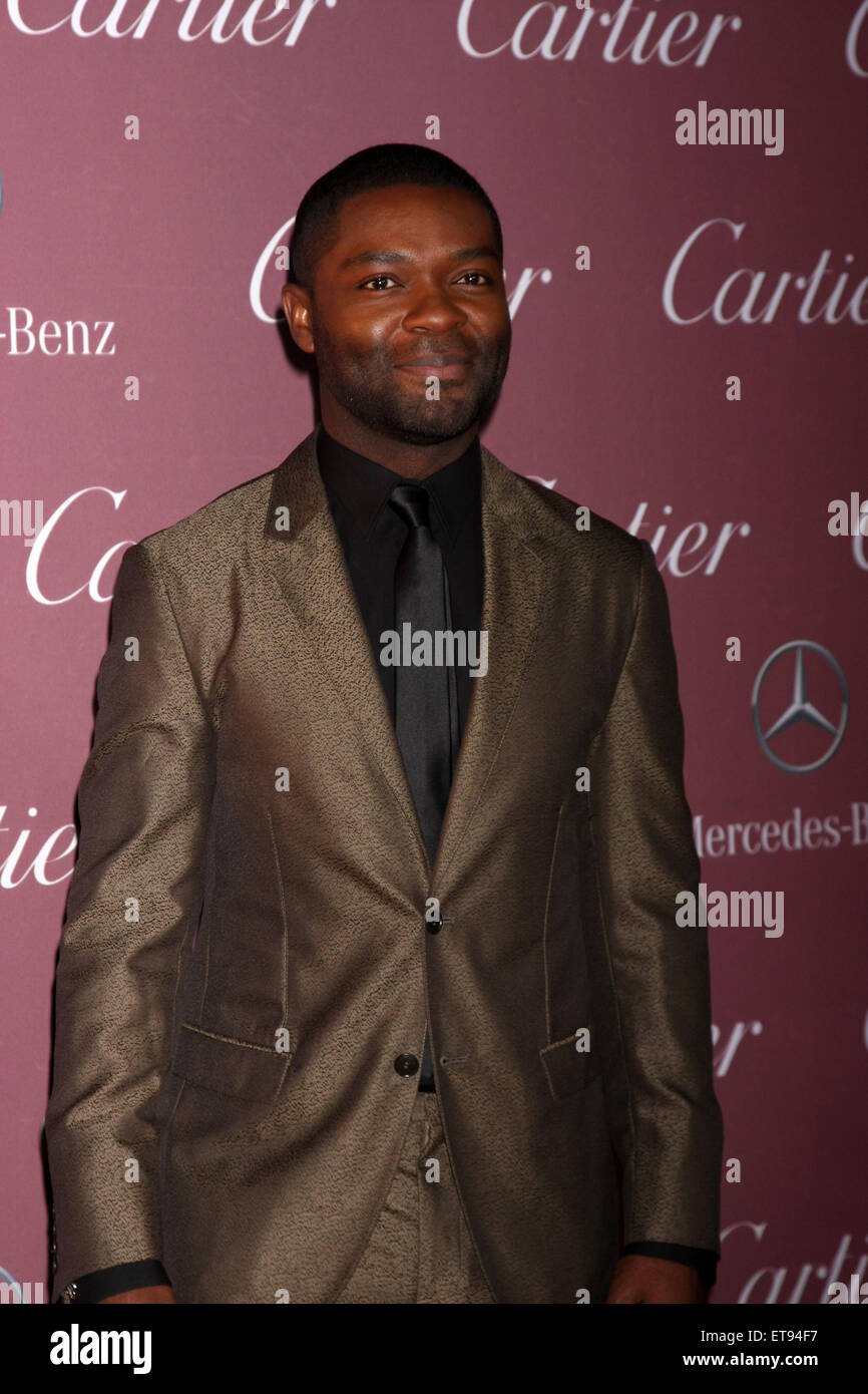 Palm Springs Film Festival 2015 di Gala con: David Oyelowo dove: Palm Springs, California, Stati Uniti quando: 04 Jan 2015 Credit: Nicky Nelson/WENN.com Foto Stock