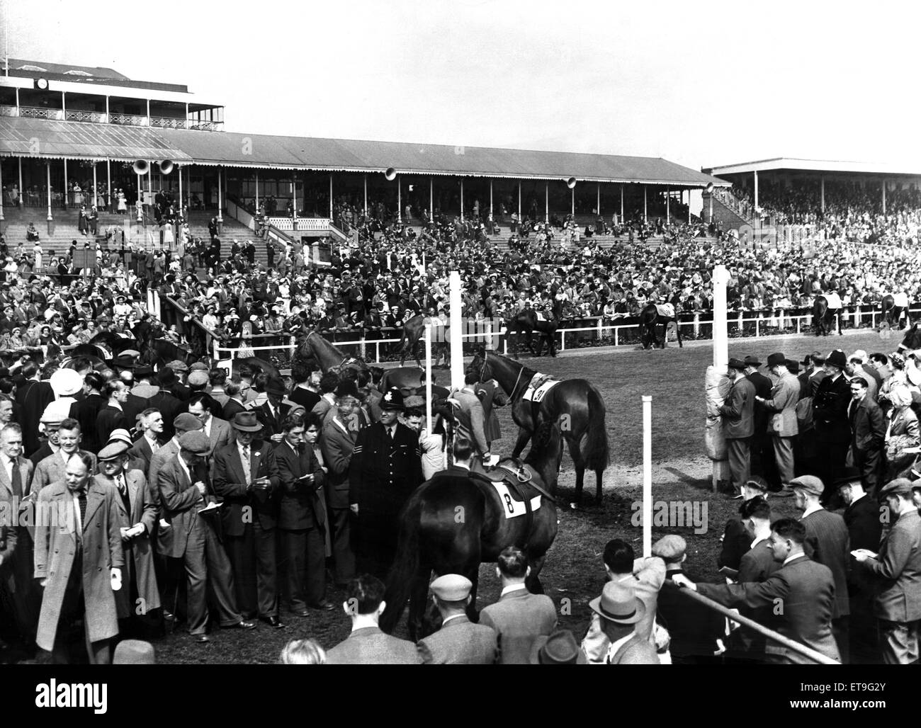 Newcastle gare a Southampton Park. La folla intorno al parade ring prima dell' inizio della piastra. Il 28 giugno 1958. Foto Stock