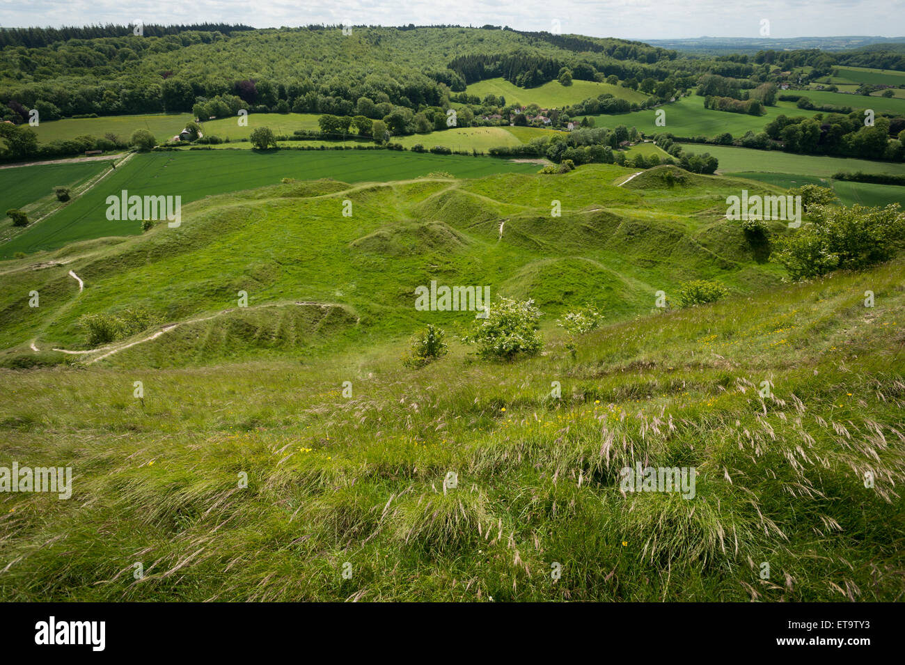Cley Hill, vicino Warminster, Wiltshire. Foto Stock
