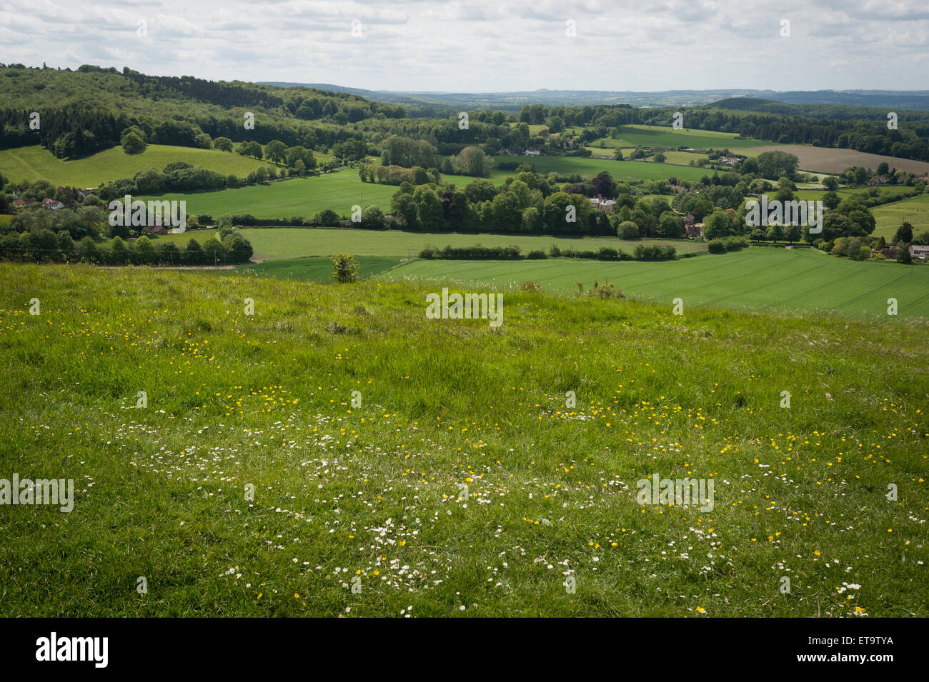 Cley Hill, vicino Warminster, Wiltshire. Foto Stock