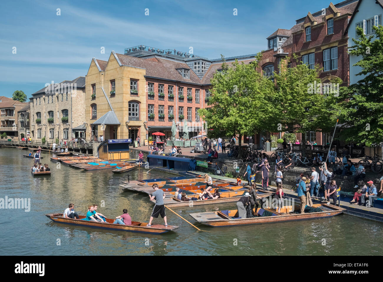 Zona turistica sul fiume Cam, Cambridge, Inghilterra England Regno Unito. Foto Stock