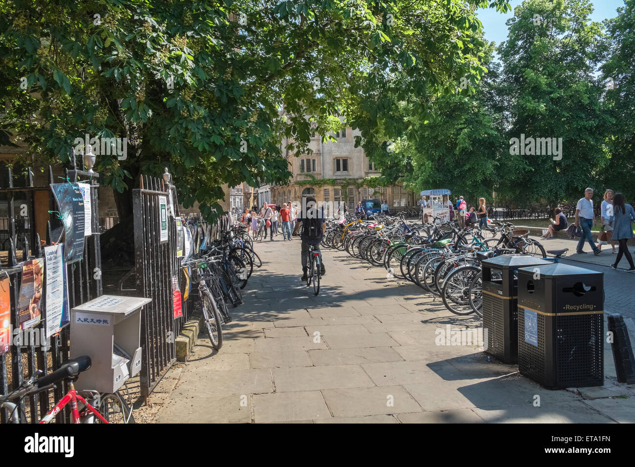 Biciclette e il ciclista sul Kings Parade, Cambridge, Inghilterra, Regno Unito Foto Stock