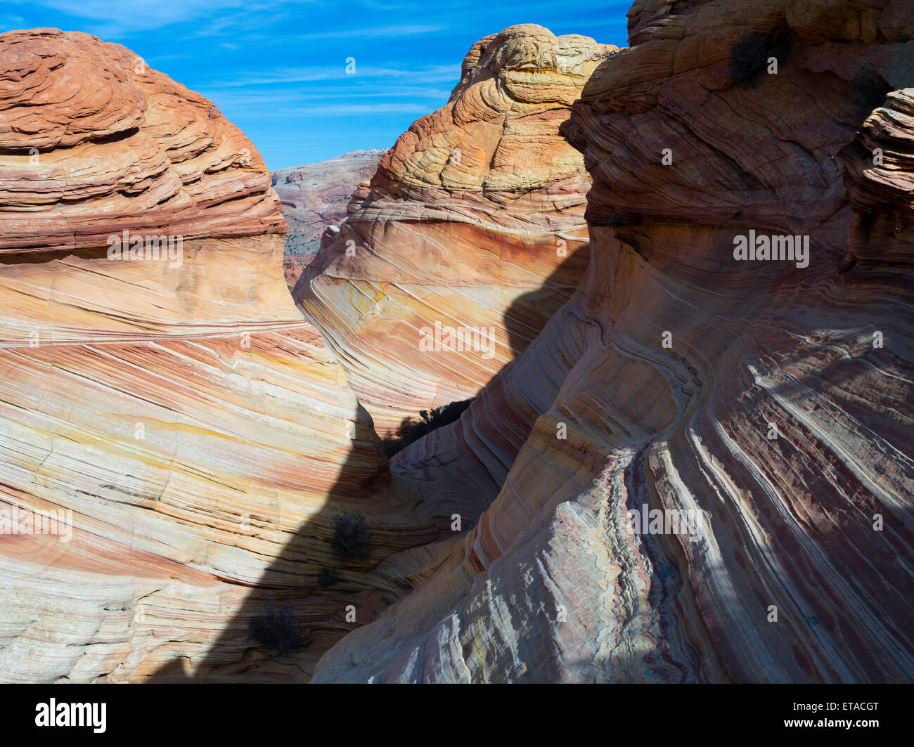 Scena dalla bella formazione geologica di colorati in arenaria ripiegato noto come 'l'onda.' Nord Coyote Buttes, Vermiglio Foto Stock