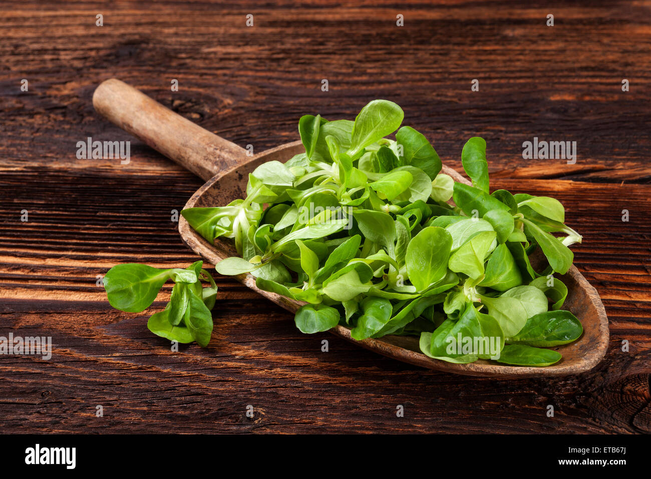 Fresco verde insalata di campo sul vecchio cucchiaio di legno rustico in legno vintage background. Insalata fresca, rustico vintage stile paese immagine Foto Stock