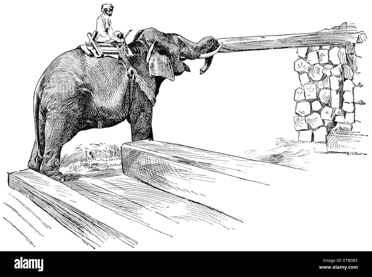 Elephant completamento di lavori di conficcare pali in legno, Rangoon, Birmania, 'Classico portafoglio di vettori primitivi', da Marshall M. Kirman, ferroviarie del mondo Publ. Co., illustrazione, 1895 Foto Stock