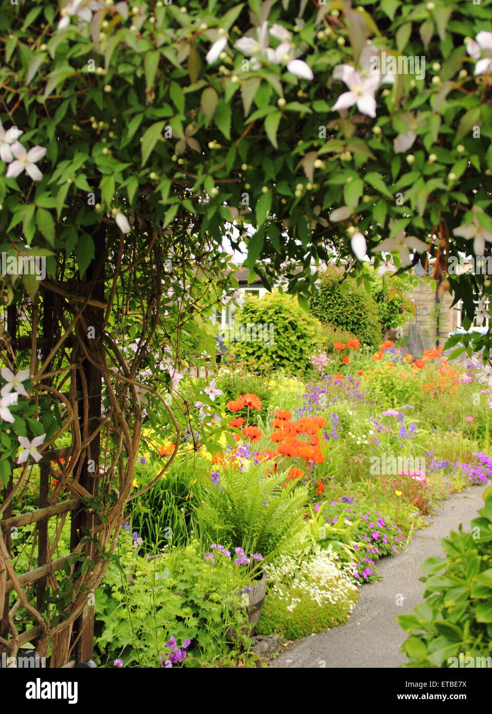 Un giardino cottage confine punteggiato da papaveri orientali, aquilegias e felci fiorisce nel Peak District, DERBYSHIRE REGNO UNITO Foto Stock