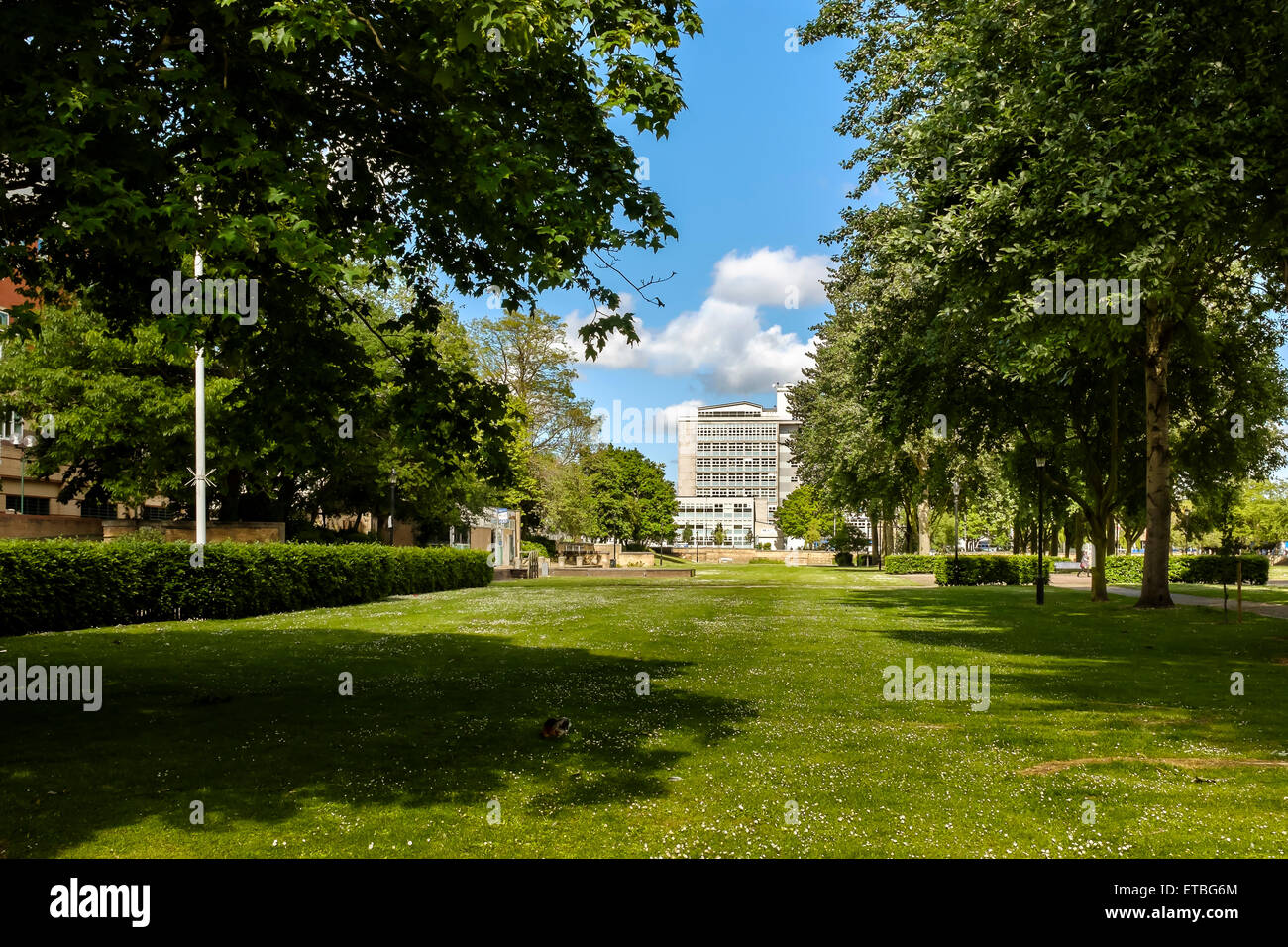 Queen's giardini nel centro di Hull con scafo College in background. Foto Stock
