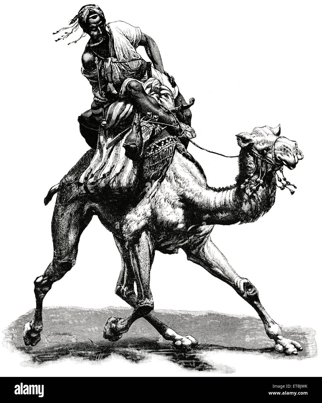 Supporto per posta sul cammello, Siria, 'Classico portafoglio di vettori primitivi', da Marshall M. Kirman, ferroviarie del mondo Publ. Co., illustrazione, 1895 Foto Stock