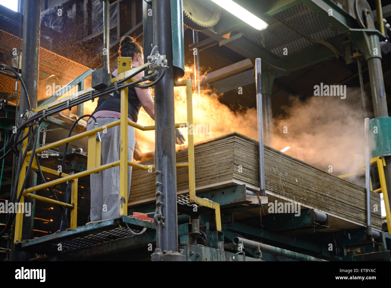 Greymouth, Nuova Zelanda, 22 maggio 2015 : operaio di pile appena fatti fogli non tagliata di legno compensato Foto Stock