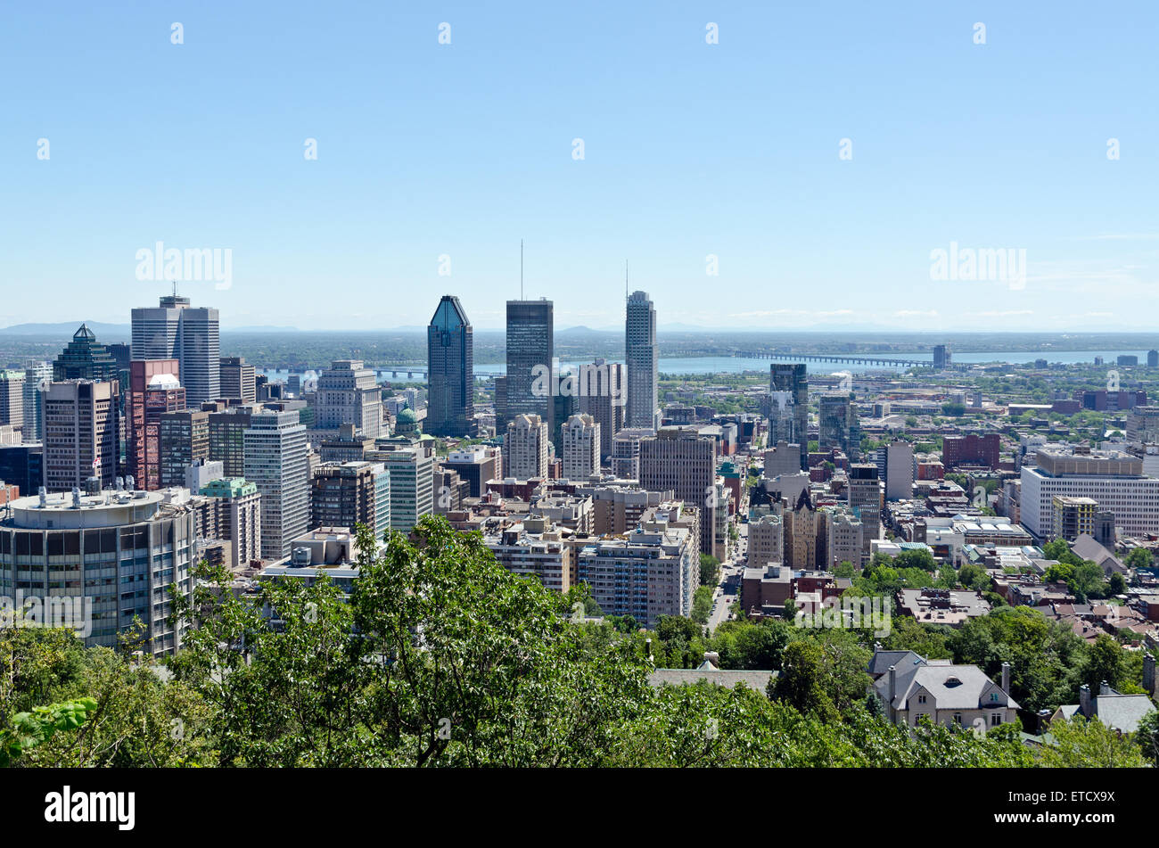 Tre più alti grattacieli di Montreal dalla cima di Mount Royal, Quebec, Canada Foto Stock