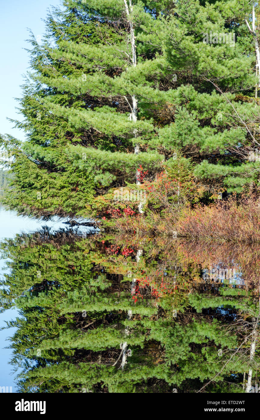 Lago di foresta in Killarney Park durante la stagione autunnale Foto Stock