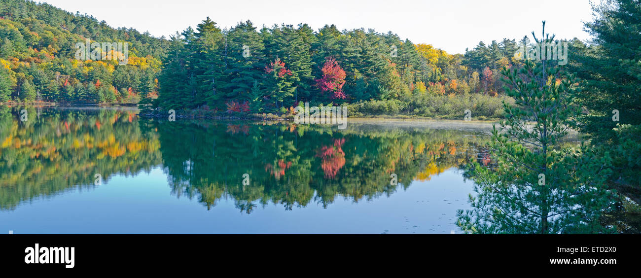 Sunrise sopra il lago di foresta in Killarney Park, Canada Foto Stock