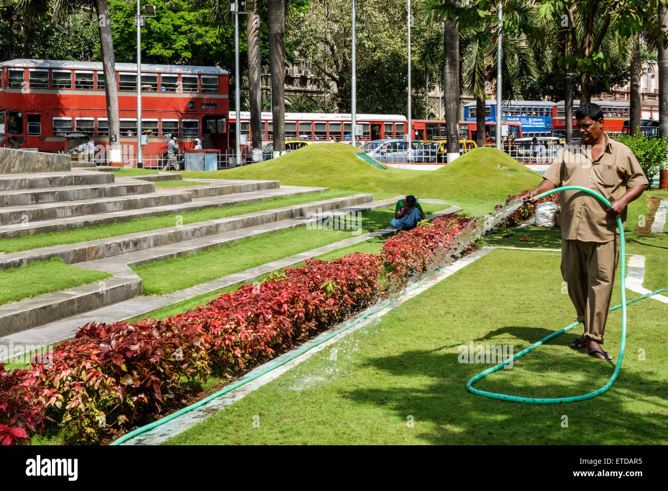 Mumbai India,Fort Mumbai,Kala Ghoda,Fontana floreale,Hutatma Chowk,Martyr's Square,uomo uomo maschio,dipendente della città,giardiniere,tubo,irrigazione,piante,India150302 Foto Stock