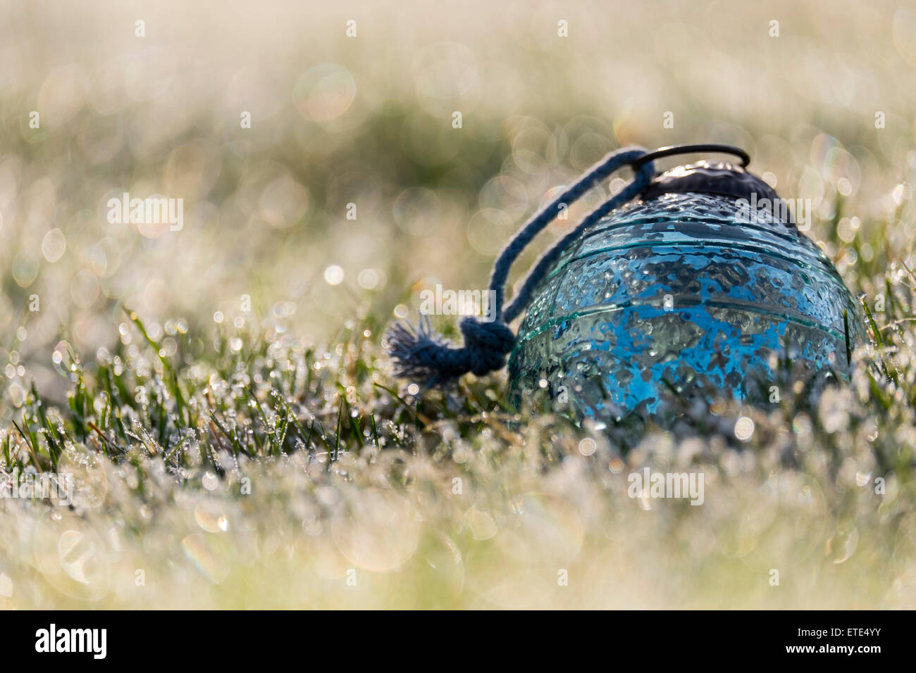 Pallina di natale in erba su un freddo mattino luminoso, con la brina e rugiada sull'erba. Foto Stock