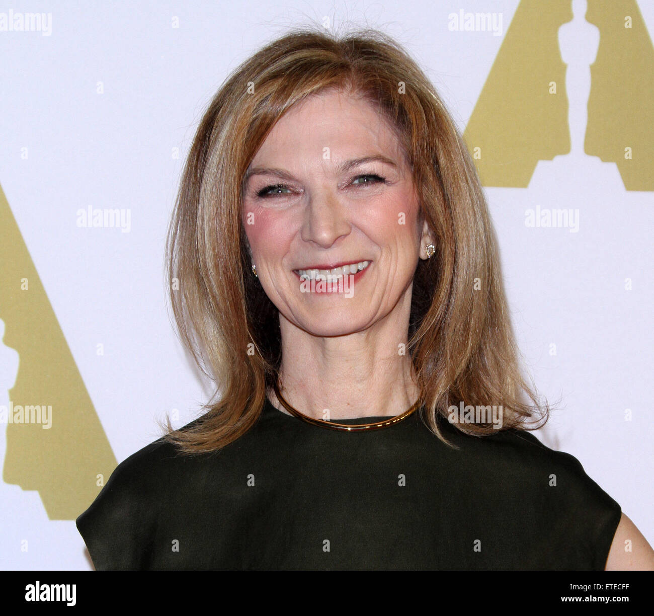 Xiv film annuale per gli adulti Awards Gala al Beverly Wilshire Hotel, presentato da AARP La rivista per onorare i migliori in 50-plus dotato di cinema: CEO dell'Accademia delle Arti e delle scienze cinematografiche, Dawn Hudson dove: Los Angeles, California, Stati Uniti quando: 02 Feb 2015 Credit: Adriana M. Barraza/WENN.com Foto Stock