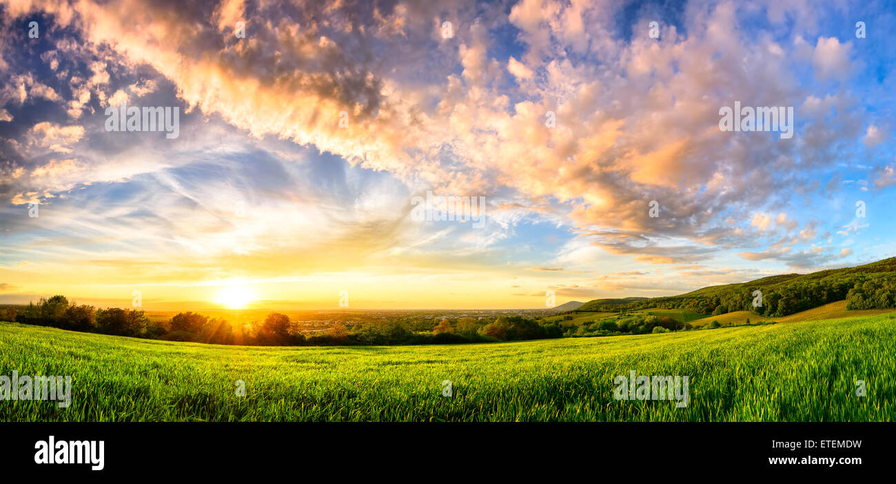 Panorama di un tramonto colorato su un fresco prato verde, formato wide paesaggio rurale con colori vibranti Foto Stock
