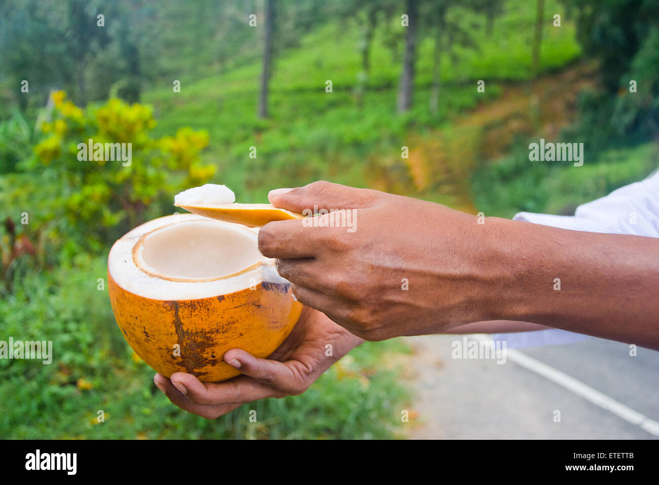 Re di cocco, re noce di cocco è un identità di fonte di carboidrati, vitamina E, ferro, calcio, fosforo Foto Stock