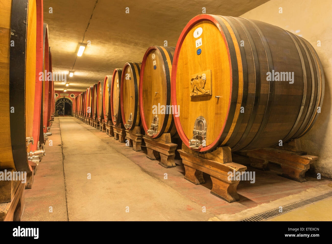 Botti da vino in vigna toscano Foto Stock
