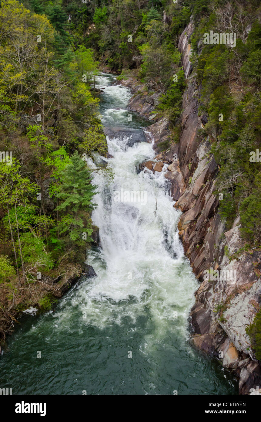 Toccoa cade nel Tallulah gola su un elevato rilascio acqua data Foto Stock