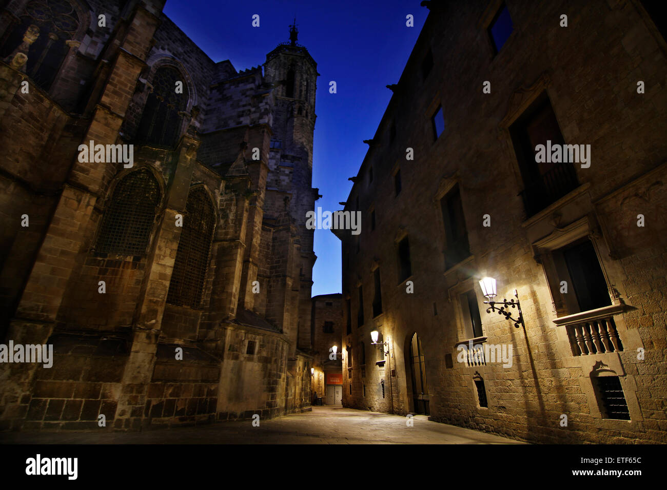 Cattedrale. Lloctinent palace. Il quartiere gotico. Barcellona. Foto Stock