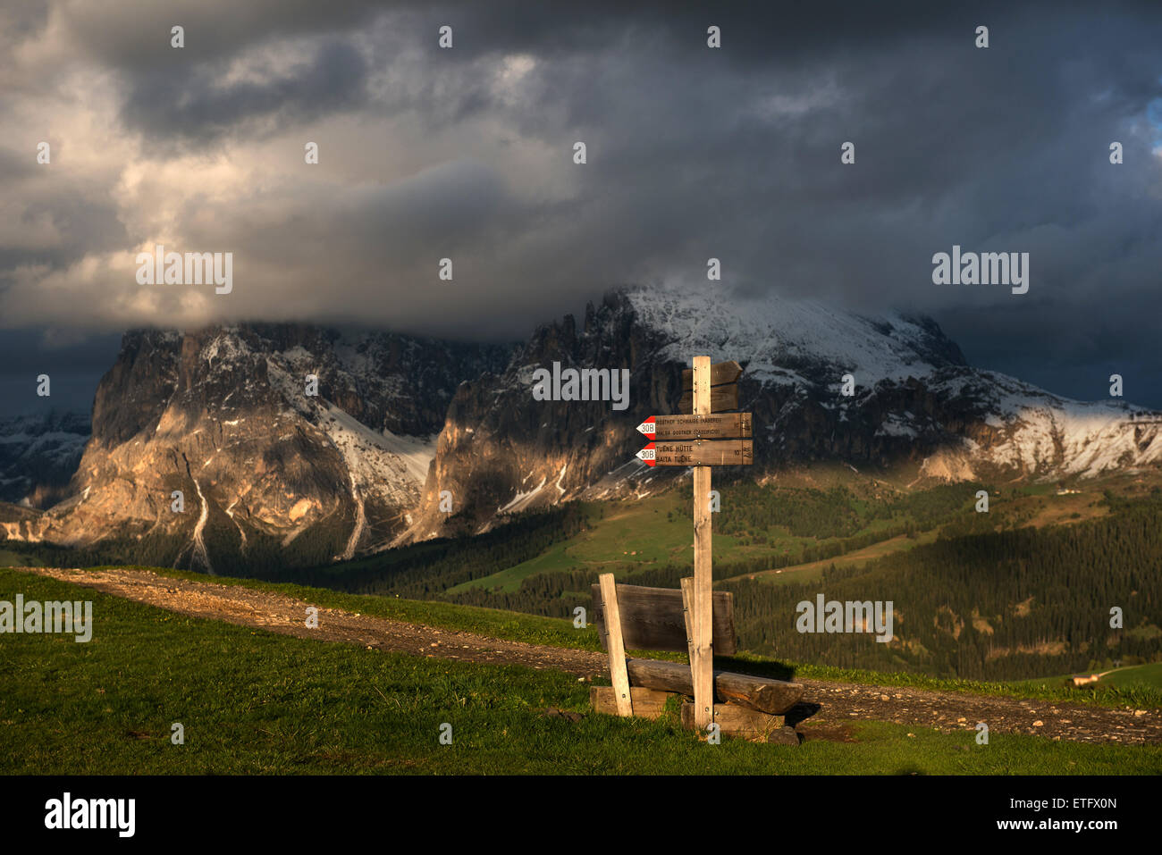 Monte Sassolungo e Sassopiatto in montagna alpenglow, luce, vista dall alpe di Siusi Alto Adige - Italia Foto Stock