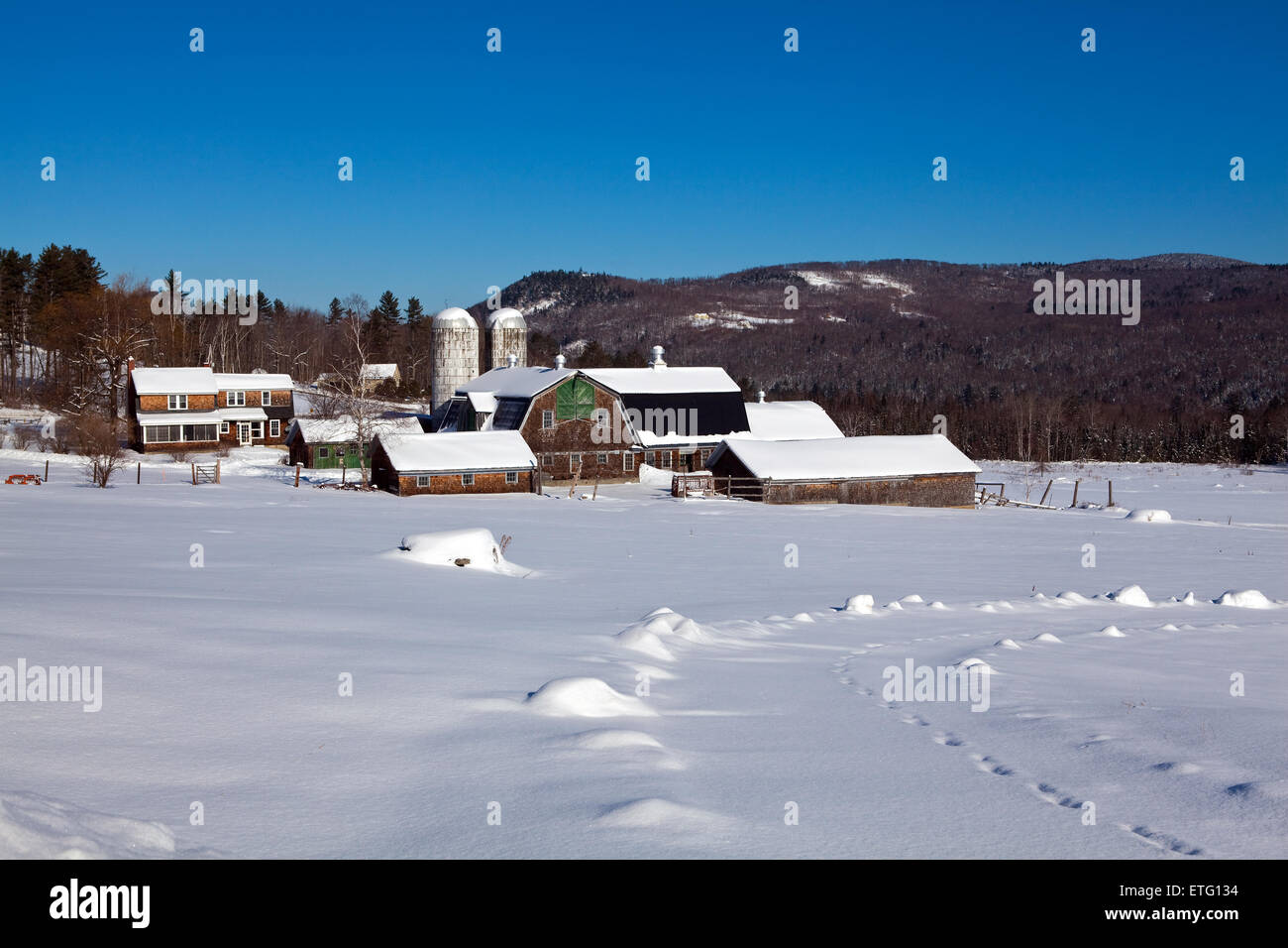 Inverno scenic di un caseificio con fienili e silos in Franconia, New Hampshire, Stati Uniti d'America., inoltre si trova nelle White Mountains. Foto Stock