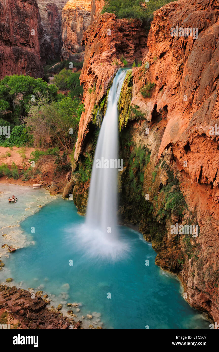 Bella cascata nel Grand Canyon, Havasu Falls, Supai, Arizona, Stati Uniti d'America Foto Stock