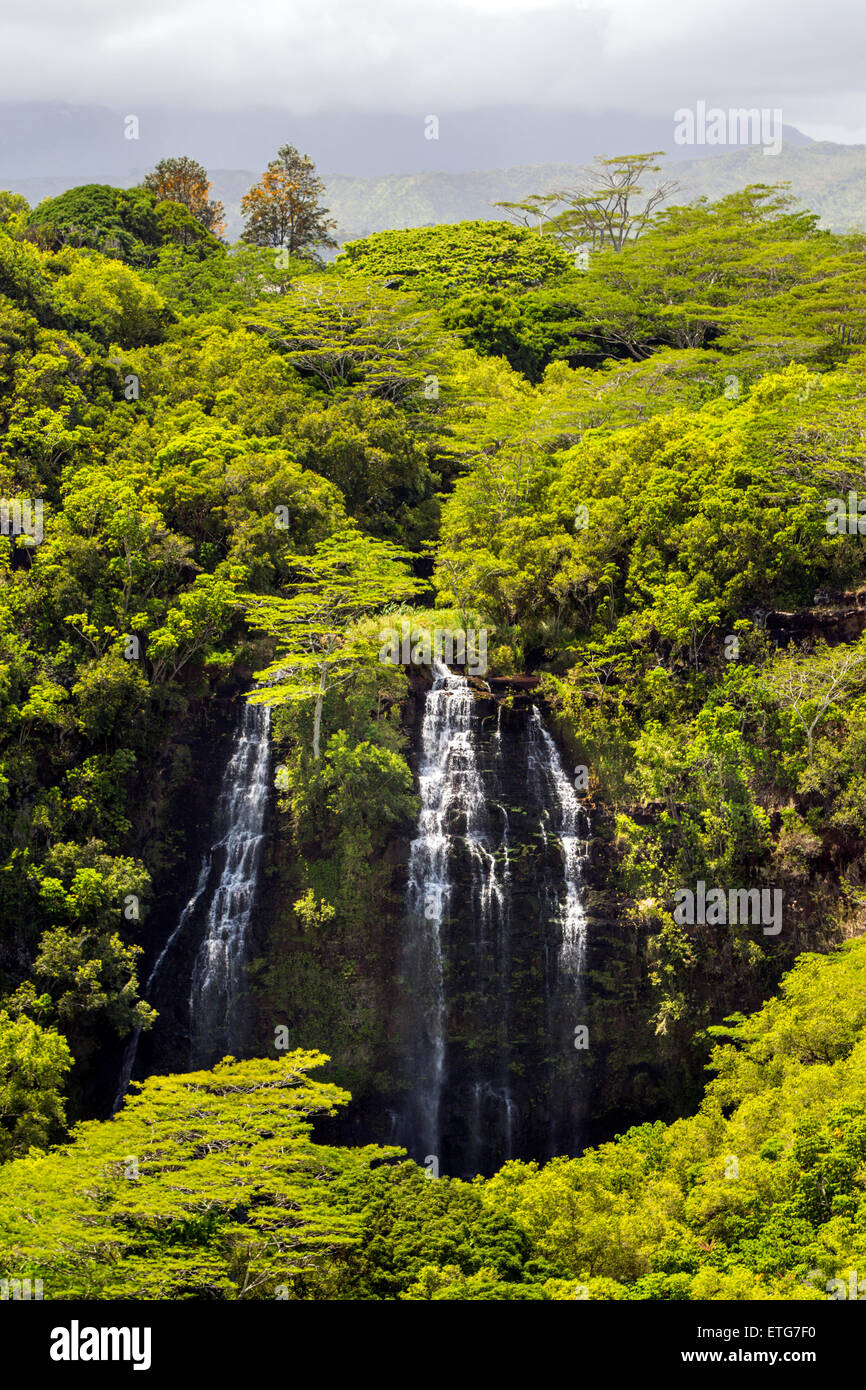 Cascate Opaekaa, Kauai, Hawaii, STATI UNITI D'AMERICA Foto Stock