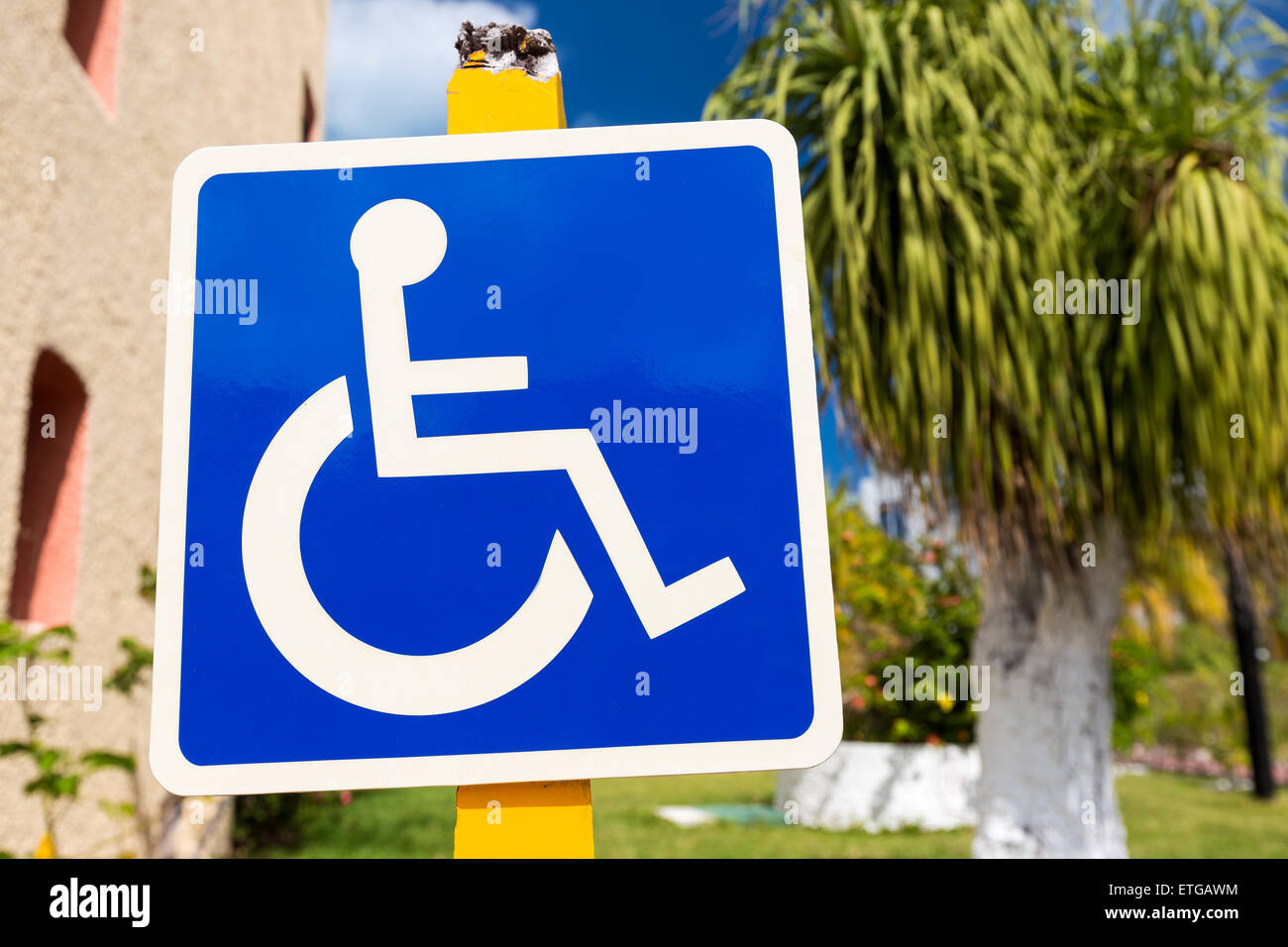 Blu segno per disabili con sedia a rotelle e all'aperto Foto Stock